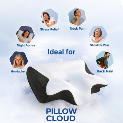 Butterfly Pillow